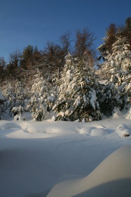 Snow on backyard hill